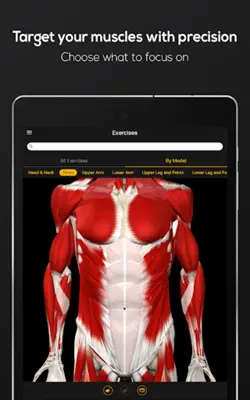 Strength Training android App screenshot 4